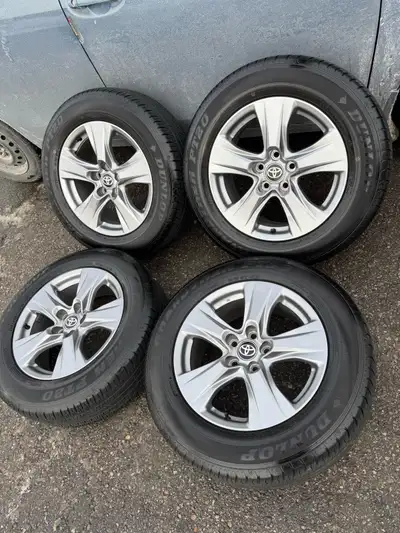 You can use them on a 2006-2025 Toyota RAV4, or 2011-2025 Toyota Sienna, or Highlander 2007-2013 or...