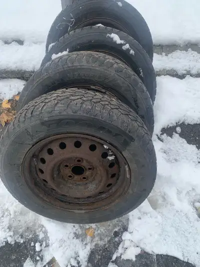 Good year. Avec les rimes 195/65R15