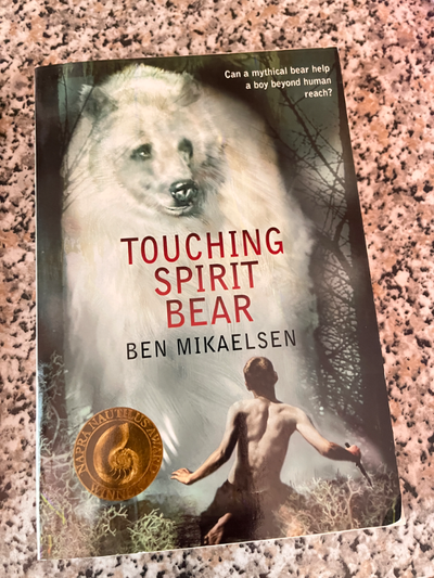 Assortment of books for Tweens, View more