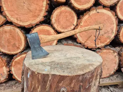 3-1/2 lb German Rhur Montreal German axe $50 or $60, View more