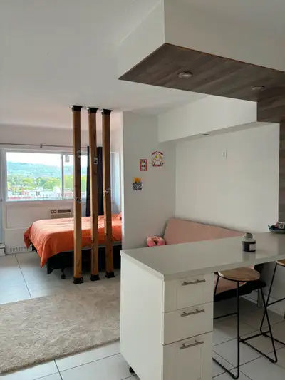 Transfert de bail – Appartement au cœur du Plateau Mont-Royal