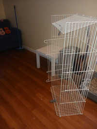 Guinea pig cage for sale for 150$