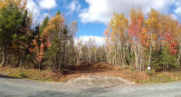 Vacant Land For Sale Near Tatamagouche NS