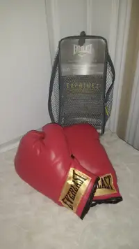 unique treasures house, new everlast boxing gloves