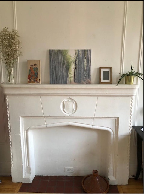 LARGE SUNNY ROOM WITH BALCONY in PLATEAU/MILE END (VEGETARIAN ) — photo 3