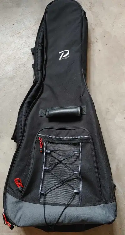 Acoustic Guitar Gig Bag. Needs zipper. Porch pick up.