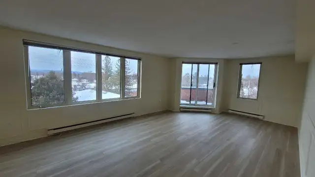 Looking for experienced Painters   $40/hr524412538104074245