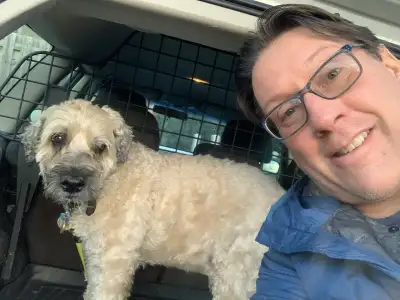 Dog Walker, View more