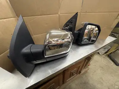 Power fold, power adjust, puddle light, blind spot and heated. Off a 2017 F150 Lariat 501A package....