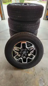 Ford Bronco Factory rims, tires and sensors.