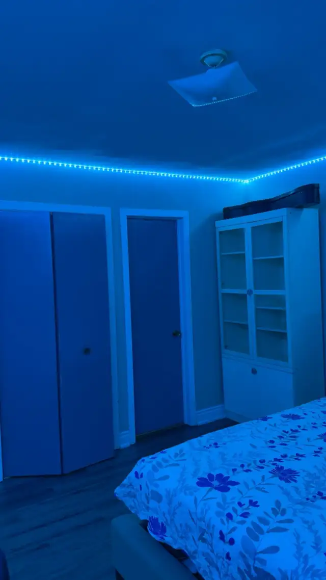 Master bedroom to share on main floor for girl only in Malton63826905164163124