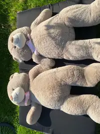 2 Big teddy bears