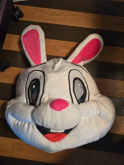 Easter bunny costume, View more