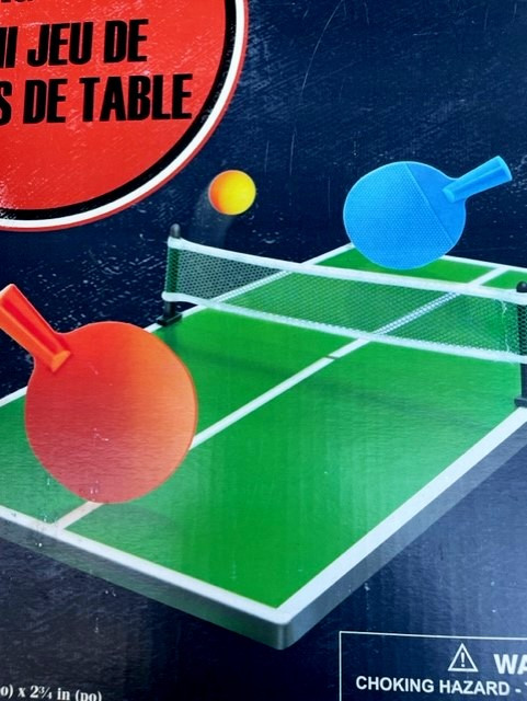 Mini PING-PONG Table top in Toys & Games in Thunder Bay