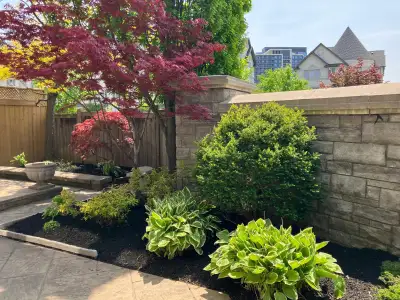 Landscaping  ✅ GTA, View more
