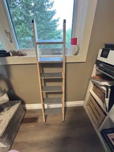Pet Ladder, View more