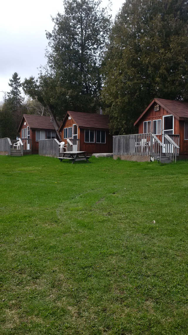 Kawartha Cottage rental - Buckhorn in Ontario in Canada - Image 4