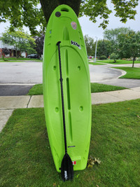 Stand up paddleboard  SUP