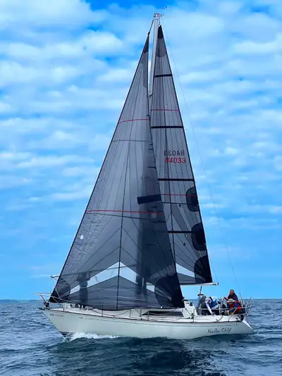 Moving/ Reduced Proven race winner of Club, LORC and ALMEN races Moving Away- Priced to sell. Meticu...