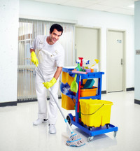 Quick Same Day Cleaning / Expert Maid Service       647-697-9250