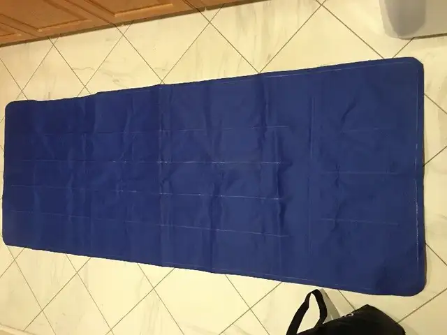 Inflatable Pool Mat/Lounge 75inchs $20