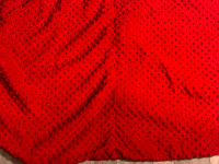Car seat canopy red