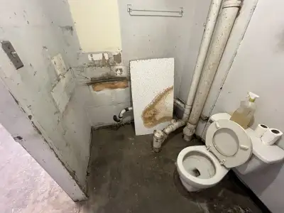 $15/hr renovation labour, View more