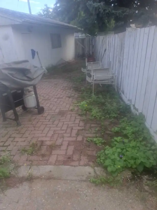 tree pruning yard clean up grass cutting