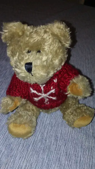 Bear Wearing Red Sweater - 8 Inches, View more