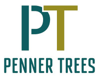 Tree Removal/Pruning/Fallen tree cleanup, Insured