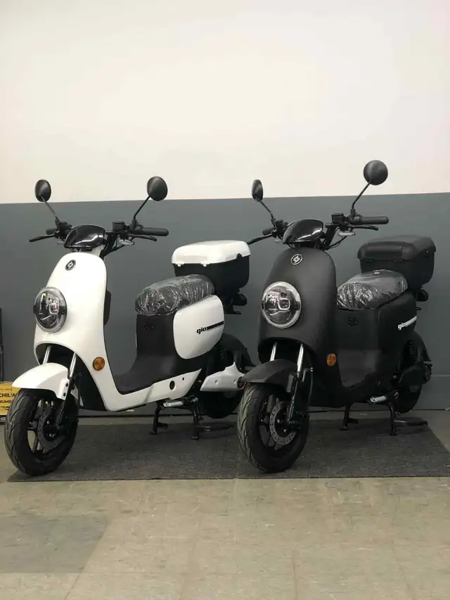 Electric Scooter GIO Italia Ultra 2025 - Approved for Canada!628643636871691213