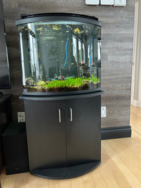Aquarium 26 gallons avec tous les poissons et le meuble