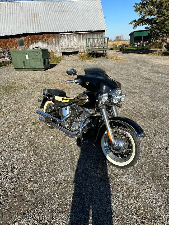 Harley Davidson Limited Edition in Street, Cruisers & Choppers in Ottawa - Image 3