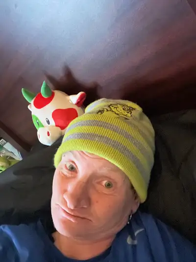 Looking for a Pug or JRT or chihuahua