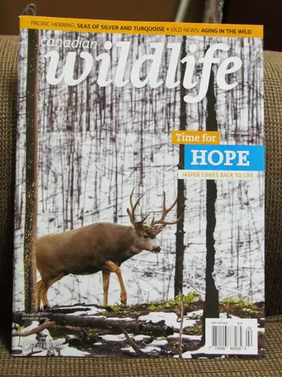 Canadian Wildlife, View more