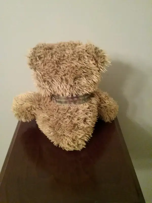Sears Bear in Good Condition63735878961923121
