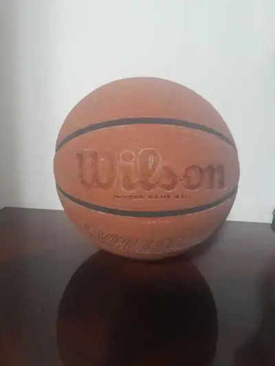 ballon de basket Wilson evolution, View more