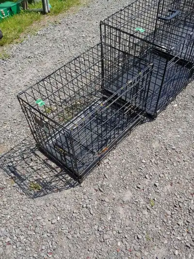 Cage pour animaux, View more