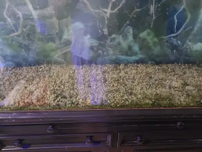 65 gal fish tank with stand and sand only . Tank need cleaning also some scratches in the glass . 4f...