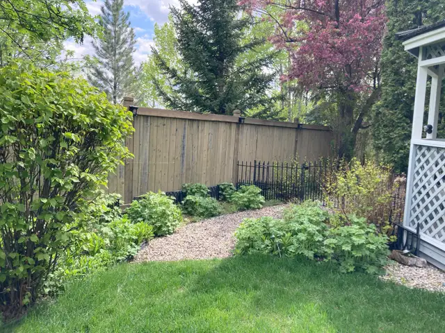 Premium Gardening Services! Edmonton Area- Weeding, Pruning ect.462338046359644162