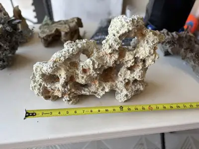 2 big decorations for $50 each