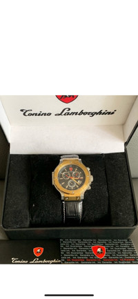 Watch Tonino Lamborghini