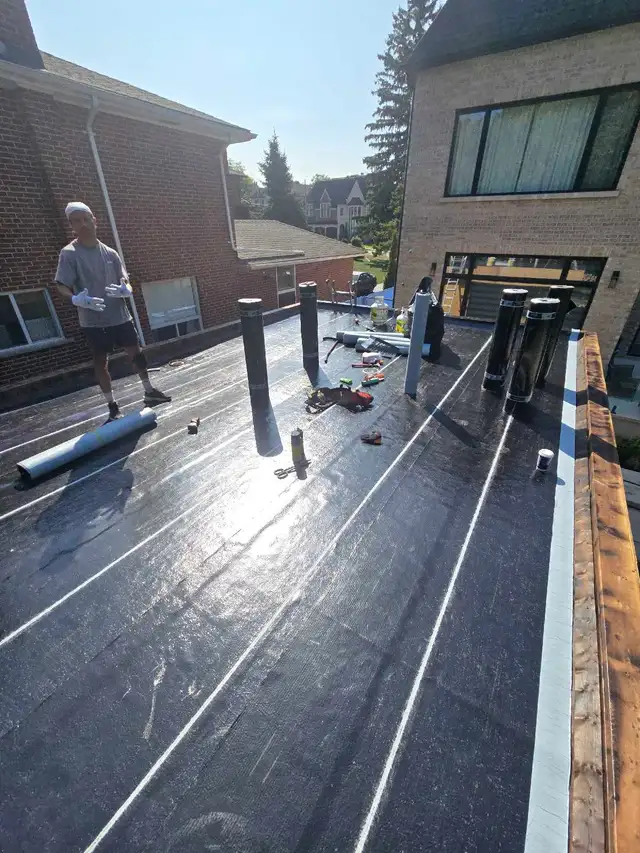 Roof, soffit, fascia, gutter and siding581490779756308481