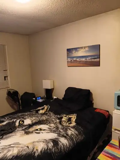 Room for Rent. Great Home, View more