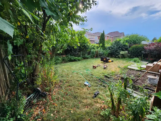 landscape Maintenance447398203852728322