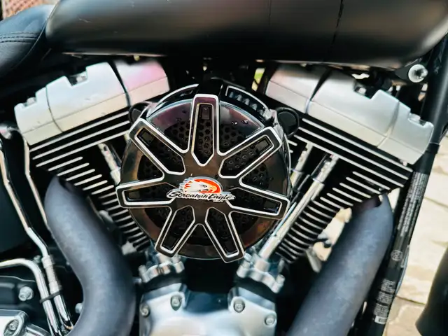 2014 Fatboy Low in Street, Cruisers & Choppers in Edmonton - Image 9