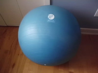 Ballon d'exercices Bally
