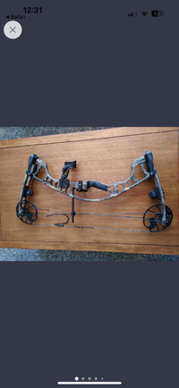 Hoyt ignite compound bow