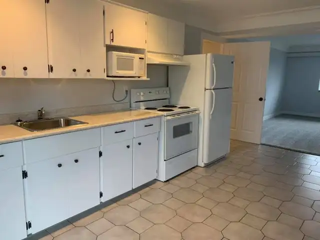 One Bedroom / One Bathroom Basement Suite - Pitt Meadows