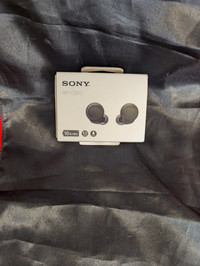 Sony Earbuds WF-C500~NIB